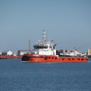 TARPAN