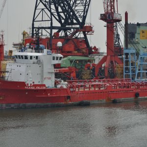 SKANDI FALCON
