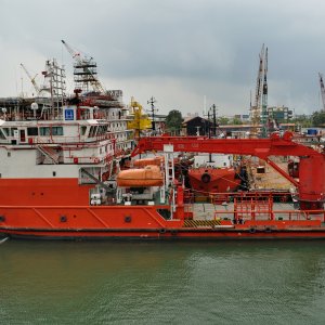 HALUL 51