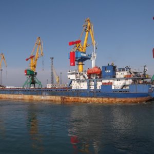 Torik-Торик