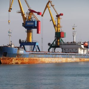 Torik-Торик