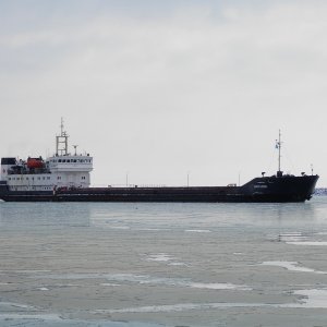 Amur 2509-Амур 2509