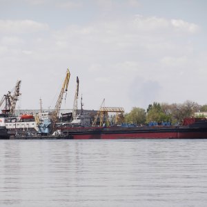 Amur 2509-Амур 2509