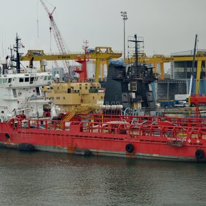 SKANDI FALCON