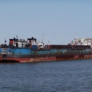 Nargoon