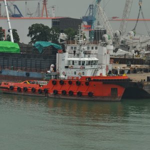 CREST JADE 1