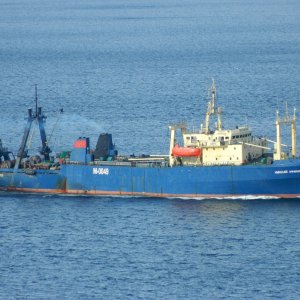 NIKOLAY AFANASYEV-НИКОЛАЙ АФАНАСЬЕВ