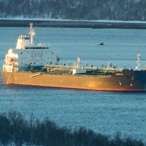 ALPINE LINK