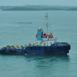 TETRA V