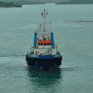TETRA V