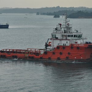 JAYA AMARA