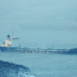 POWSTANIEC LISTOPADOWY