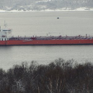 CPO CHINA