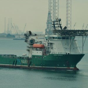 HAVILA HARMONY