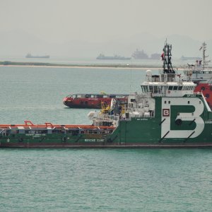 BOURBON LIBERTY 305