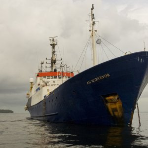 AG SURVEYOR