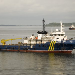 AMARCO LYNX