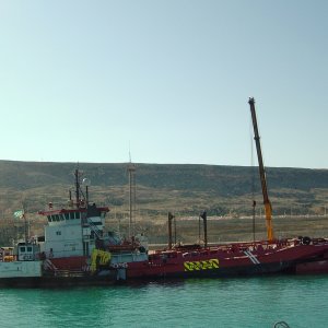 ANTARCTICABORG-АНТАРКТИКАБОРГ