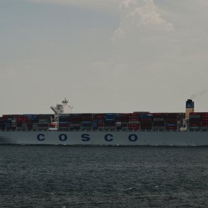COSCO DEVELOPMENT
