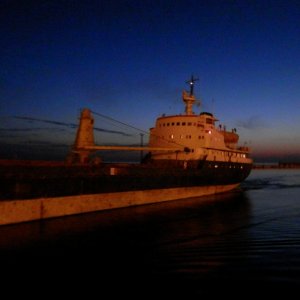 FIZULI