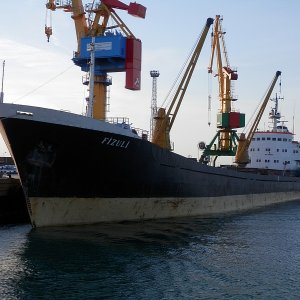 FIZULI
