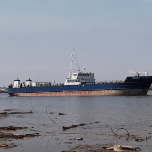 ORKIDEH 1