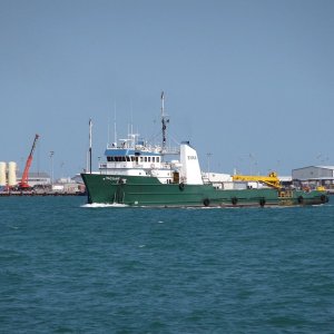 YAGUAR