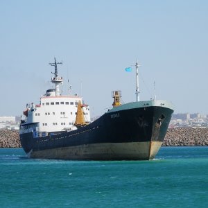 FIZULI