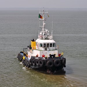 HALANI 5