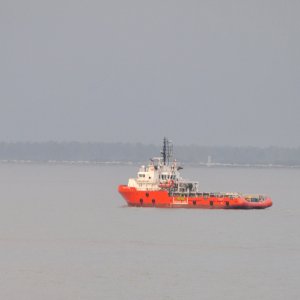 PACIFIC PYTHON