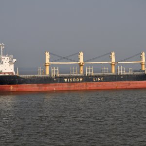 TAO STAR
