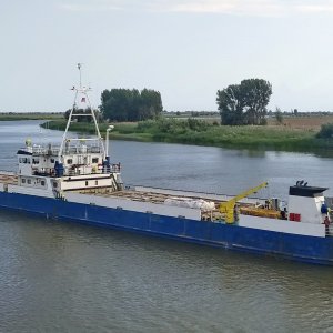 NAJVA 2