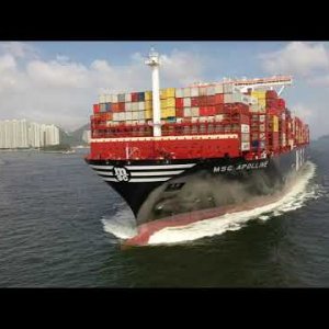 MSC APOLLINE