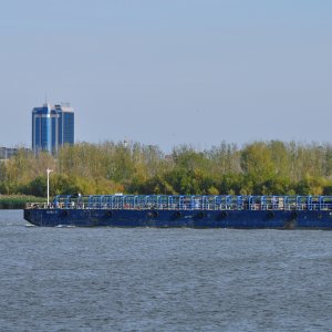BUEK-9