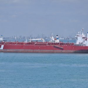 IVER EXPORTER