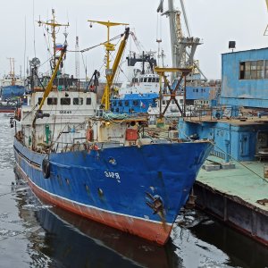 ЗАРЯ