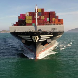 MSC PERLE