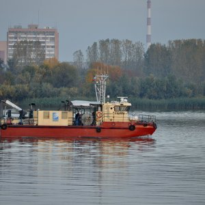 TERN