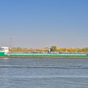 ДМИТРИЙ ПОКРОВСКИЙ