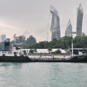 PEGASUS ENDURANCE