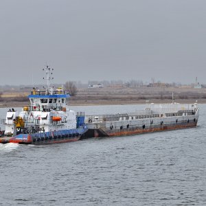 ВЕННА