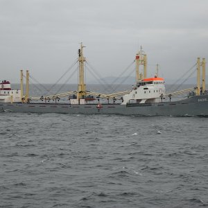 DEDE C