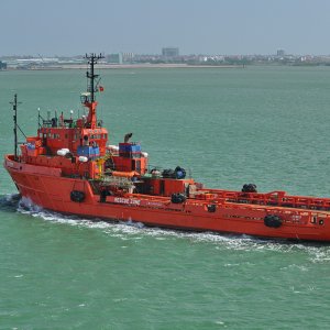 LAM SON 01