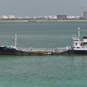 ELCARIM