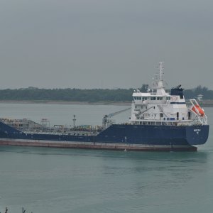 WISBY TEAK