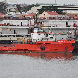 PHU QUY 01