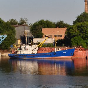 ЗАРЯ