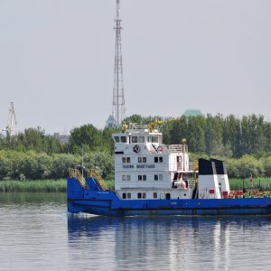 ПАВЛИН ВИНОГРАДОВ