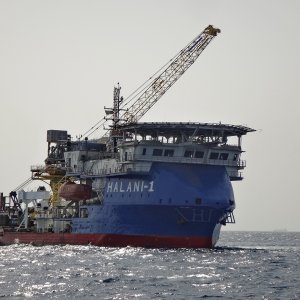 HALANI 1