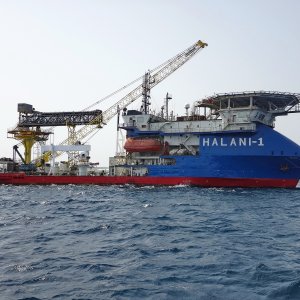 HALANI 1